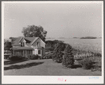 House and cornfield. Fred Coulter's farm, Grundy County, Iowa