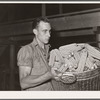 A basket of sorted and cleaned ears of hybrid seed corn ready for drying. Reinbeck, Iowa