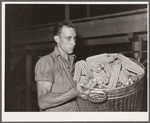 A basket of sorted and cleaned ears of hybrid seed corn ready for drying. Reinbeck, Iowa