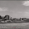 Farm. Grundy County, Iowa