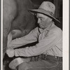 Andy Bahain, FSA (Farm Security Administration) borrower milking a cow on his farm near Kersey, Colorado