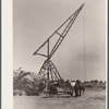 Andy Bahain, FSA (Farm Security Administration) borrower, with horses on farm near Kersey, Colorado