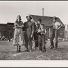 Fred Schmeeckle, FSA (Farm Security Administration) borrower, on his dryland farm in Weld County, Colorado