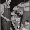 Potatoes are loaded into freight cars for shipment. Monte Vista, Colorado