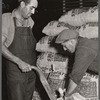 Potatoes are loaded into freight cars for shipment. Monte Vista, Colorado