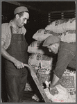 Potatoes are loaded into freight cars for shipment. Monte Vista, Colorado