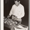 Department of Agriculture inspector grading potatoes. Monte Vista, Colorado