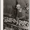 Washed potatoes are inspected. Monte Vista, Colorado