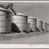 Newly-constructed field bins for storing shelled corn under ever-normal granary program. Woodbine, Iowa