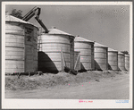 Newly-constructed field bins for storing shelled corn under ever-normal granary program. Woodbine, Iowa