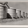 Newly-constructed field bins for storing shelled corn under ever-normal granary program. Woodbine, Iowa