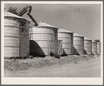 Newly-constructed field bins for storing shelled corn under ever-normal granary program. Woodbine, Iowa