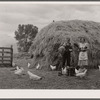 Mr. and Mrs. Howard Crowder and daughter on their resettlement farm. San Luis Valley, Colorado