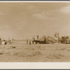 Threshing soybeans. Weld County, Colorado