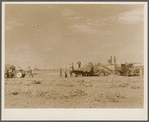 Threshing soybeans. Weld County, Colorado