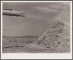 Chaff from thresher. Weld County, Colorado