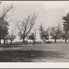 Children playing during recess. Grundy County, Iowa