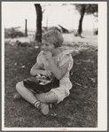 Schoolgirl, pupil of one-room schoolhouse, eating lunch. Grundy County, Iowa