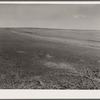 Arid land. Weld County, Colorado