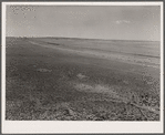 Arid land. Weld County, Colorado