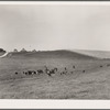 Farm. Marshall County, Iowa