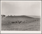 Farm. Marshall County, Iowa