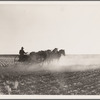 Fred Schmeeckle, FSA (Farm Security Administration) borrower, drilling wheat on his dry-land farm. Weld County, Colorado