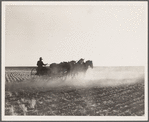 Fred Schmeeckle, FSA (Farm Security Administration) borrower, drilling wheat on his dry-land farm. Weld County, Colorado