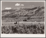 Farm on western slope of Rocky Mountains. Ouray County, Colorado