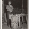 USDA (United States Department of Agriculture) inspector grades potatoes. Monte Vista, Colorado