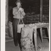 USDA (United States Department of Agriculture) inspector grades potatoes. Monte Vista, Colorado