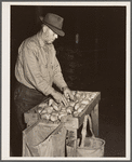 USDA (United States Department of Agriculture) inspector grades potatoes. Monte Vista, Colorado