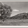 Pasture in foothills of Rocky Mountains. Fremont County, Colorado