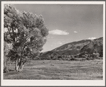 Pasture in foothills of Rocky Mountains. Fremont County, Colorado