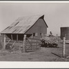 Member of Bois d'Arc Cooperative drives wagon load of sorgo to feedlot. Osage Farms, Missouri