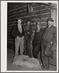 The gleaners, men who gather the ears left by the picker. Cornhusking contest. Marshall County, Iowa