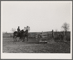 Farmer returning from the fields with the team. Osage Farms, Missouri