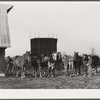 Three of the teams used on the Bois d'Arc cooperative farm. Osage Farms, Missouri