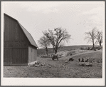 John Dixon's farm consists of 110 acres planted in corn, wheat, oats and hay. Saint Charles County, Missouri