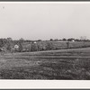 Some of the fifteen acre subsistence farms developed by the FSA (Farm Security Administration) for tiff miners. Washington County, Missouri