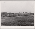 Some of the fifteen acre subsistence farms developed by the FSA (Farm Security Administration) for tiff miners. Washington County, Missouri