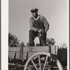 Lawrence Corda, tiff miner, raises corn, oats, and lespedeza when he is not working at the diggings. Washington County, Missouri
