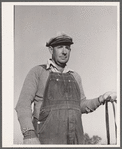 Lawrence Corda, tiff miner, has beef cattle, hogs, a mule, and chickens. He raises most of his own food and feed when he is not mining tiff. Washington County, Missouri