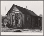 Tiff miner's home in paw-paw patch. Washington County, Missouri