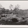 Abandoned tiff diggings in paw-paw patch. Washington County, Missouri