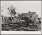 Tiff miner's home at paw-paw patch. Washington County, Missouri