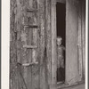 Son of tiff miner. Washington County, Missouri
