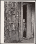 Son of tiff miner. Washington County, Missouri