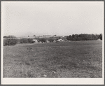 Farms. Greene County, Missouri