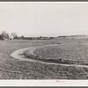 Terraced field. Greene County, Missouri